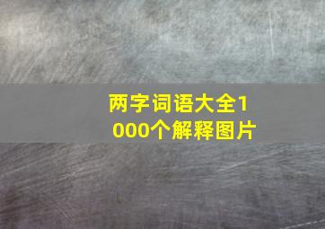 两字词语大全1000个解释图片