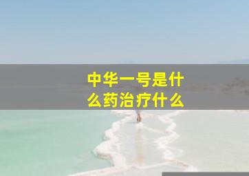 中华一号是什么药治疗什么