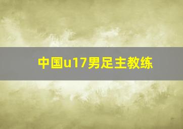 中国u17男足主教练