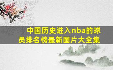 中国历史进入nba的球员排名榜最新图片大全集