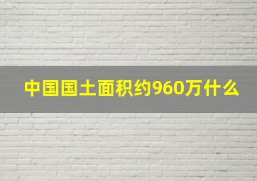 中国国土面积约960万什么