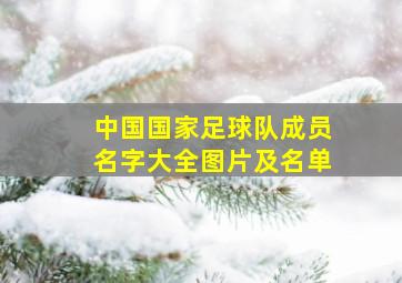 中国国家足球队成员名字大全图片及名单