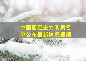 中国国足主力队员名单公布最新情况视频