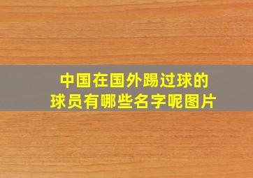 中国在国外踢过球的球员有哪些名字呢图片