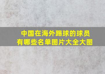 中国在海外踢球的球员有哪些名单图片大全大图