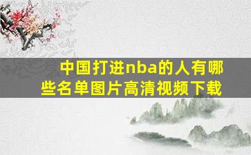 中国打进nba的人有哪些名单图片高清视频下载