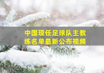 中国现任足球队主教练名单最新公布视频