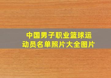 中国男子职业篮球运动员名单照片大全图片