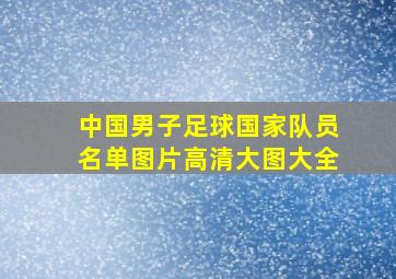 中国男子足球国家队员名单图片高清大图大全