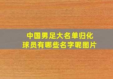 中国男足大名单归化球员有哪些名字呢图片