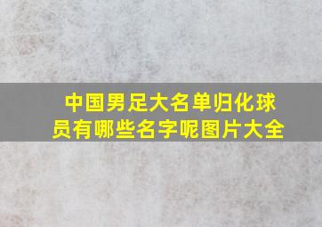 中国男足大名单归化球员有哪些名字呢图片大全