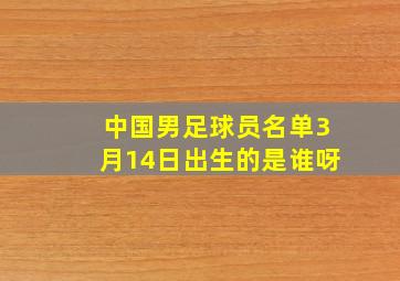 中国男足球员名单3月14日出生的是谁呀