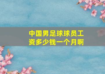 中国男足球球员工资多少钱一个月啊