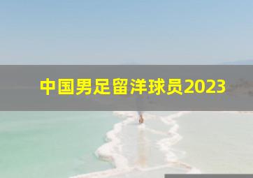 中国男足留洋球员2023