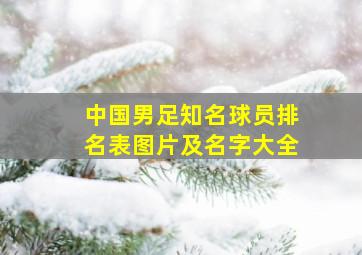 中国男足知名球员排名表图片及名字大全