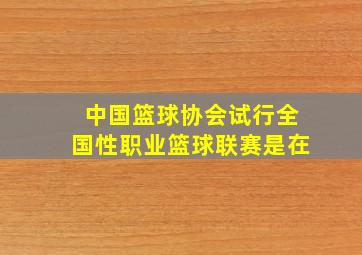 中国篮球协会试行全国性职业篮球联赛是在