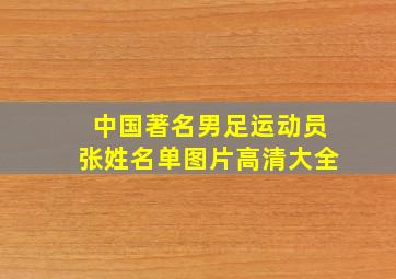 中国著名男足运动员张姓名单图片高清大全