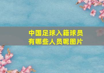 中国足球入籍球员有哪些人员呢图片