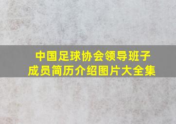 中国足球协会领导班子成员简历介绍图片大全集