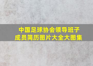 中国足球协会领导班子成员简历图片大全大图集