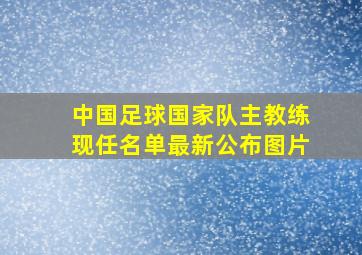 中国足球国家队主教练现任名单最新公布图片