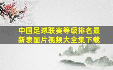 中国足球联赛等级排名最新表图片视频大全集下载