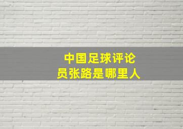 中国足球评论员张路是哪里人