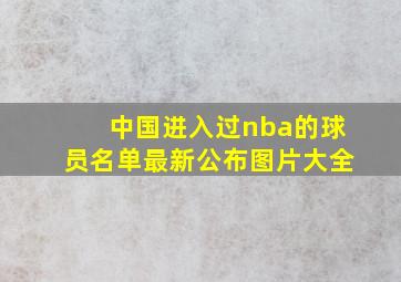 中国进入过nba的球员名单最新公布图片大全