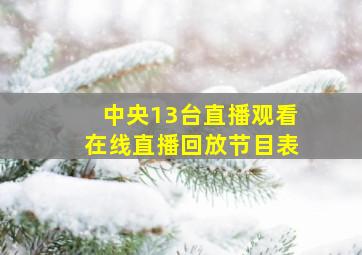 中央13台直播观看在线直播回放节目表