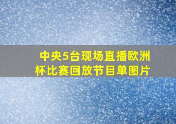 中央5台现场直播欧洲杯比赛回放节目单图片