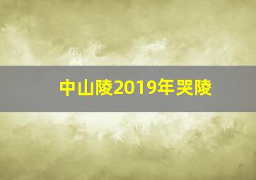 中山陵2019年哭陵