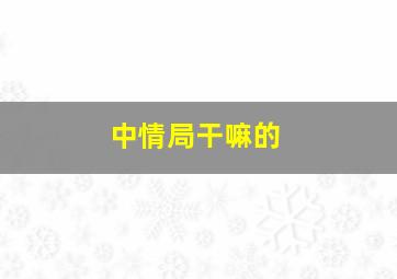 中情局干嘛的