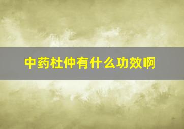 中药杜仲有什么功效啊