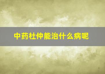 中药杜仲能治什么病呢