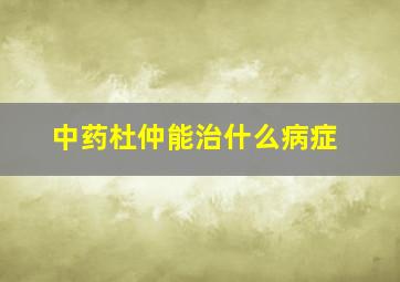 中药杜仲能治什么病症