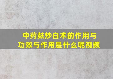 中药麸炒白术的作用与功效与作用是什么呢视频