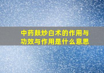 中药麸炒白术的作用与功效与作用是什么意思