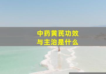 中药黄芪功效与主治是什么