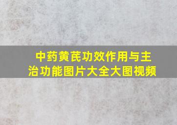 中药黄芪功效作用与主治功能图片大全大图视频