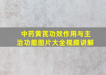 中药黄芪功效作用与主治功能图片大全视频讲解