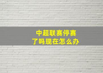 中超联赛停赛了吗现在怎么办