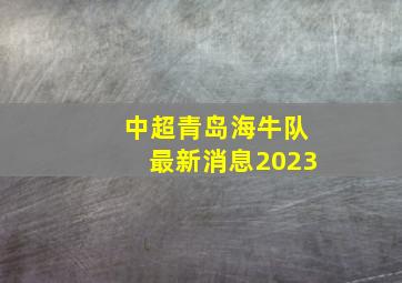 中超青岛海牛队最新消息2023