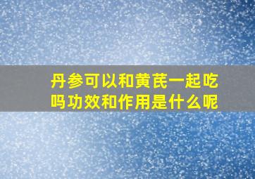 丹参可以和黄芪一起吃吗功效和作用是什么呢