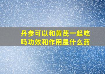 丹参可以和黄芪一起吃吗功效和作用是什么药