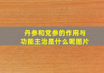 丹参和党参的作用与功能主治是什么呢图片