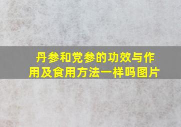 丹参和党参的功效与作用及食用方法一样吗图片