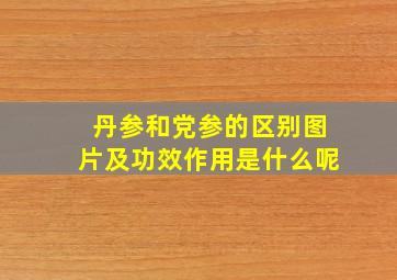 丹参和党参的区别图片及功效作用是什么呢