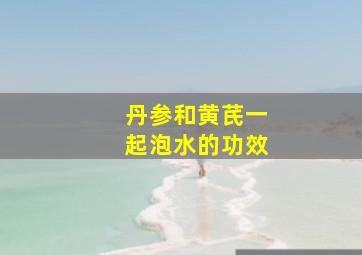 丹参和黄芪一起泡水的功效