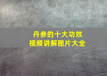 丹参的十大功效视频讲解图片大全