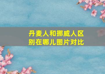 丹麦人和挪威人区别在哪儿图片对比